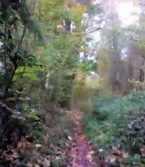 Départ sous une  pluie fraîche