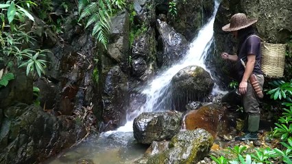 EP.151 - Abrigo em caverna, aventura na floresta de pesca e cozimento