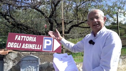 Procuratore Di Leo, ecco le sue Asinelle in toga da PM, che  favoriscono i delinquenti