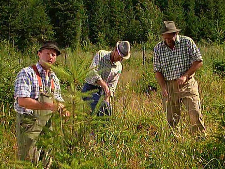 S06E07 - Angst um Aika