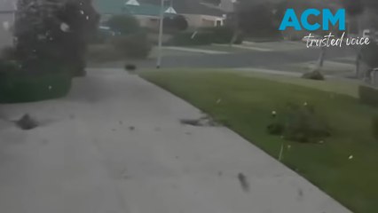 Wild storms leave hundreds without power across NSW and Victoria
