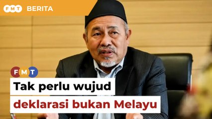 Tiada keperluan PN wujud deklarasi untuk bukan Melayu, kata Tuan Ibrahim