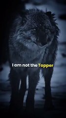 Cyber Security & Digital Marketing + Entertainment: Boost Your Skills Today 🔒📈