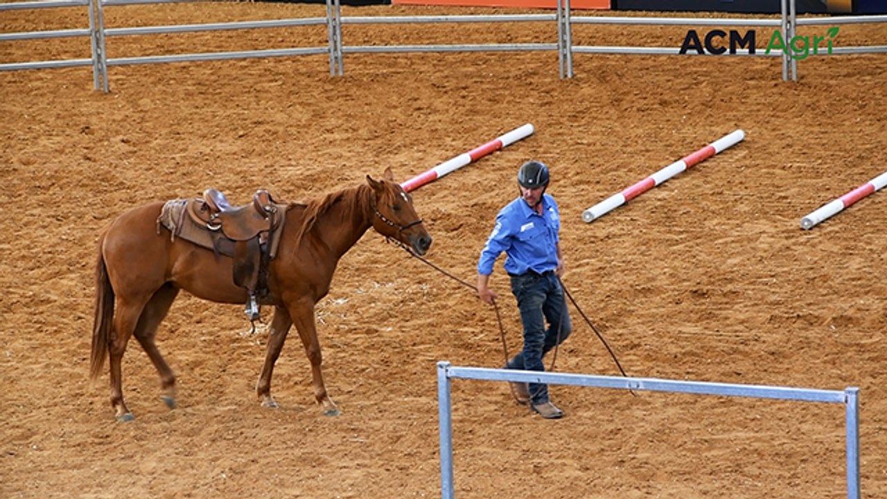Watch what it takes to win Equitana's renowned horse starting competition