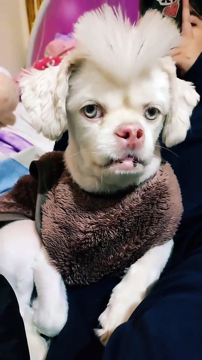 Reacciones inesperadas a bromas extremas 🤣😂🤣😂