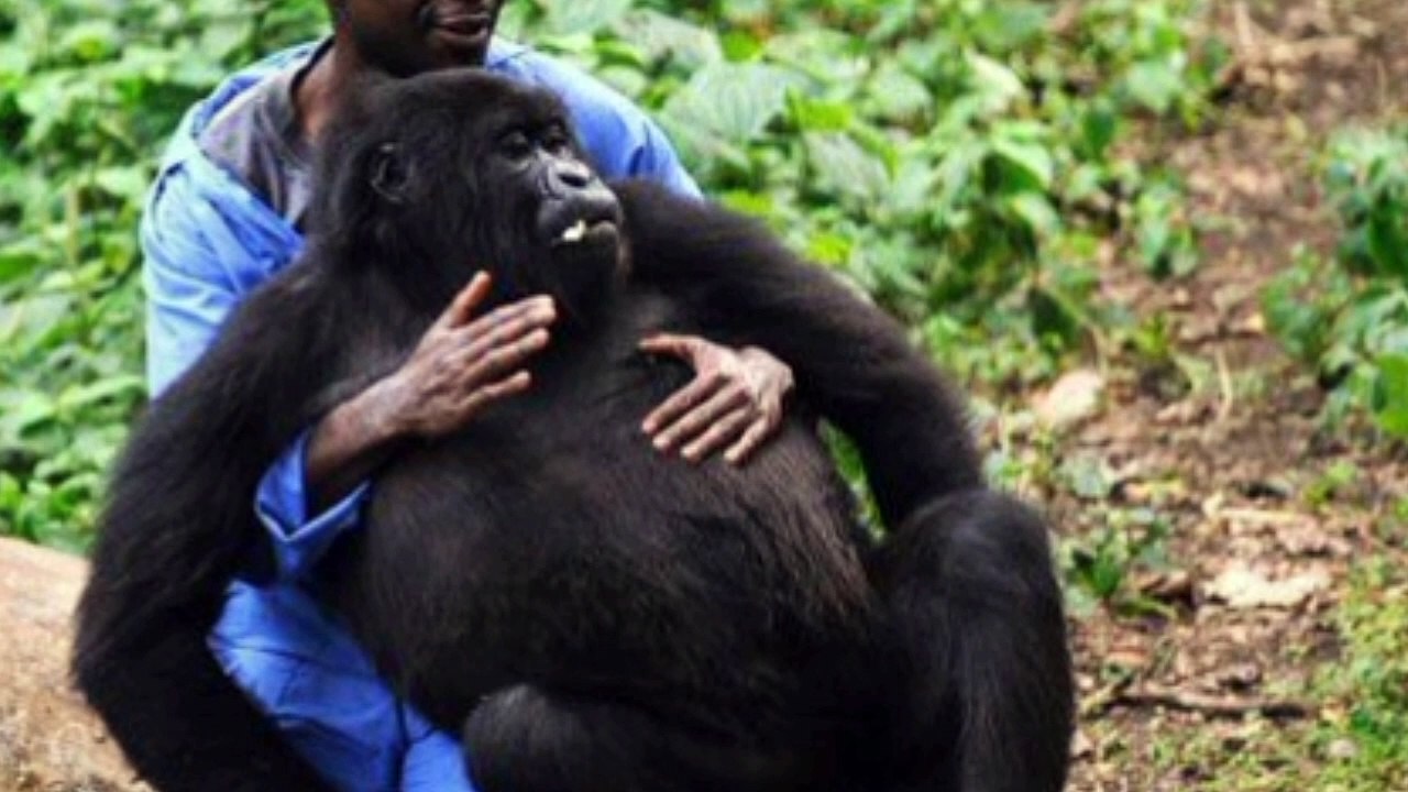 Ek bandariya aur insan ke bacche ka vakya | Urdu Kahani waqia | Islamic waqia in Urdu