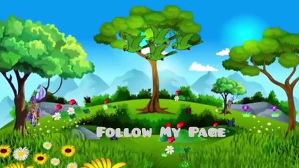 Pari Episode New | Chidiya Wala Cartoon | Tuni Achi Cartoon | Hindi Kahani |