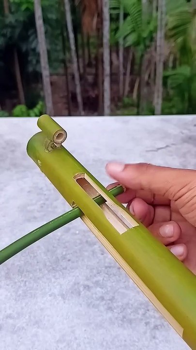 Bamboo creation with new slingshotsory