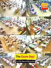 Chasing Success in China - The Ultimate Path!