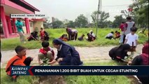 Penanaman 1.200 Bibit Buah Untuk Cegah Stunting