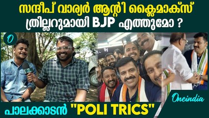 സന്ദീപ് വാര്യർ കരടാകുമോ വോട്ടാകുമോ ?രാഹുലിന് എത്ര ഭൂരിപക്ഷം?പാലക്കാടൻ"POLITRICS"| Palakkad Election