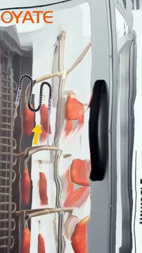 1000w 220v quartz infrared heating lamp 1000W 230v infrared heating lamp 1000w 230v Infrared Lamp