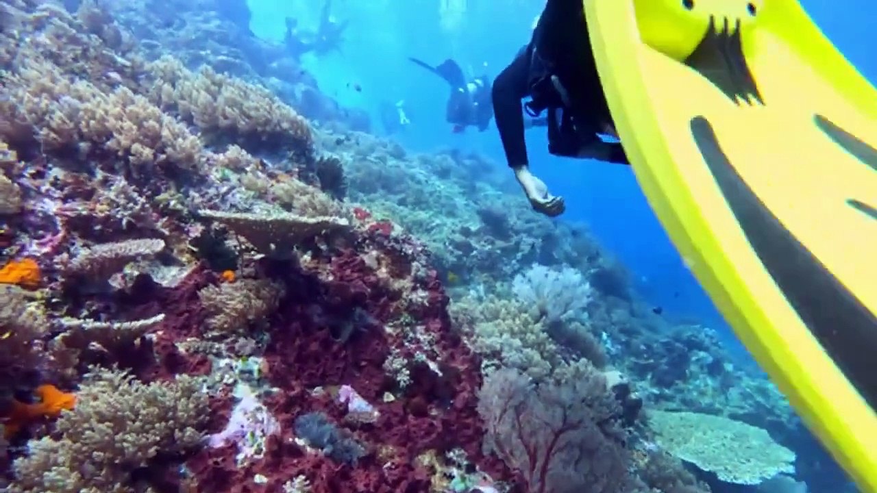 BEST PLACE TO DIVE1