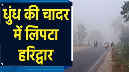 धुंध की चादर में लिपटा Haridwar , जनजीवन हुआ प्रभावित