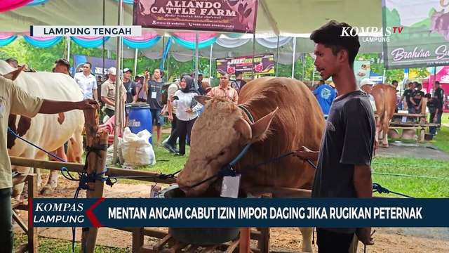 Mentan Ancam Cabut Izin Impor Daging Jika Rugikan Peternak Lokal