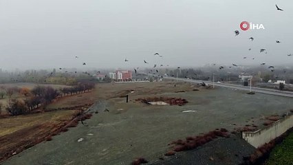 O ilimizde sis hayatı felç etti!