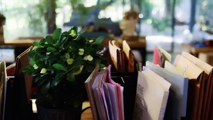 First Love It's You E2 Hindi RV Drama