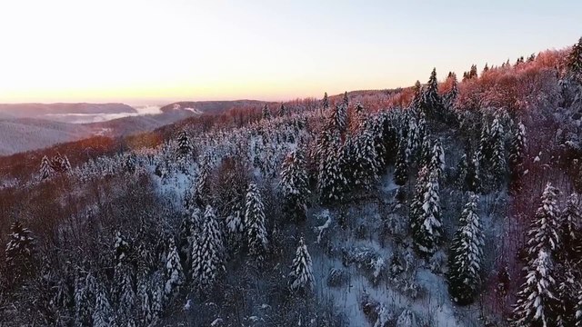 Winter Wonderland: Snow-Covered Vosges Mountains in France!