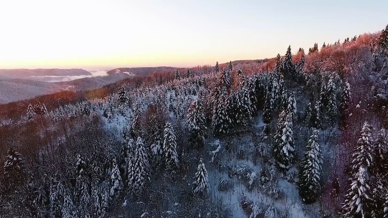 "Winter Wonderland: Snow-Covered Vosges Mountains in France!"