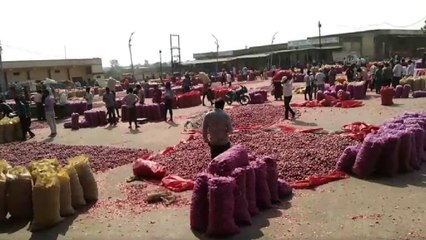 रतलाम मंडी में पंहुचा 4000 से अधिक कट्टे प्याज