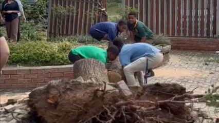 Kindhearted locals step up to support café owners after storm wreaks havoc