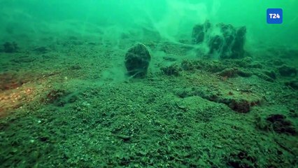 Müsilaj dipteki hayatı etkilemeye başladı!