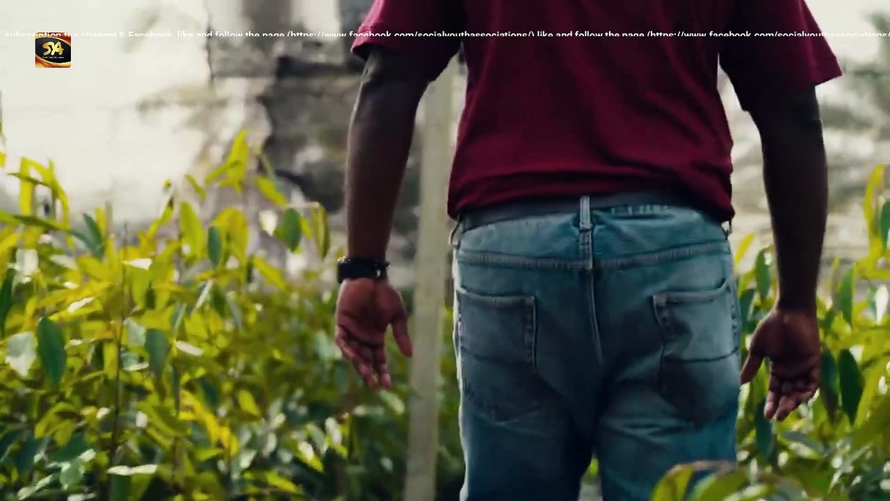 Plantation Work in Malaysia | SYA Channel