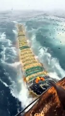 How to Catch Fish with a Giant Net _ Old-School Technique 🎣 #shorts