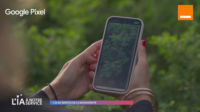L'IA au service de la biodiversité - Orange x Google x M6