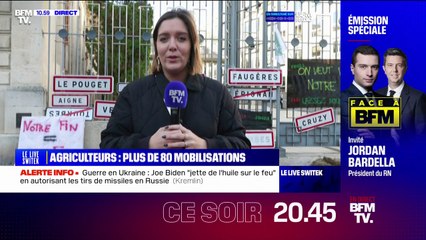 "La détresse est de plus en plus forte": à Montpellier, les agriculteurs manifestent devant la préfecture de l'Hérault