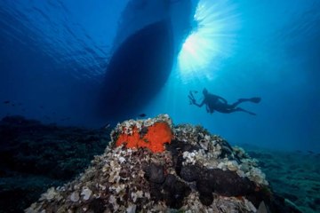 Deli Mehmet Sığlığı dalışseverleri çağırıyor