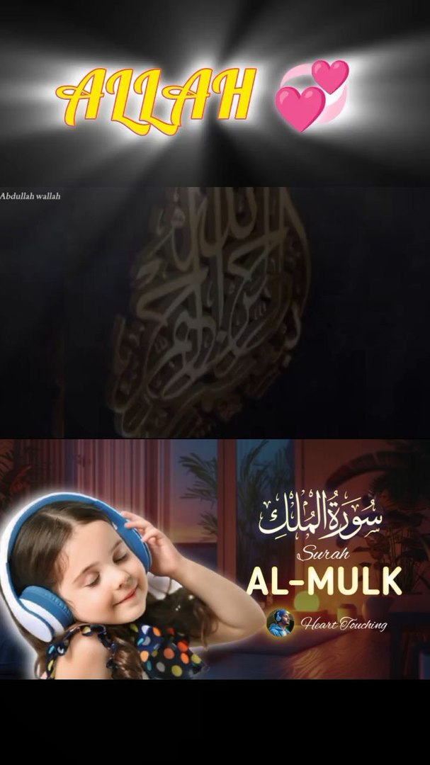 surah mulk ki tilawat 1 nice foryou foryou foryou shorts IslamicShorts shortsvideo shortfeed NatureInspiredByQuran bird