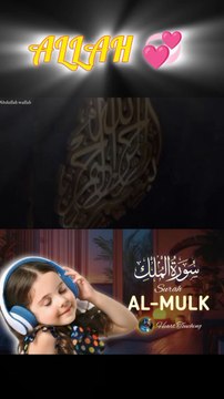 surah mulk ki tilawat 1 nice #foryou #foryou #foryou #shorts #IslamicShorts #shortsvideo #shortfeed #NatureInspiredByQuran #bird
