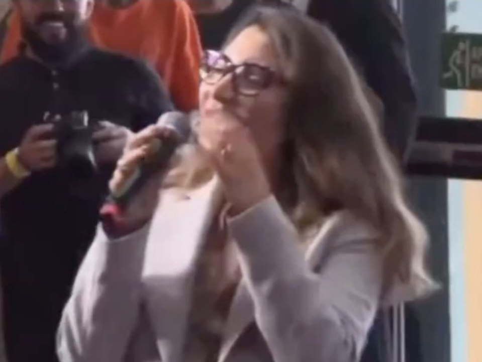 "fuck you": brasiliens first lady beschimpft elon musk