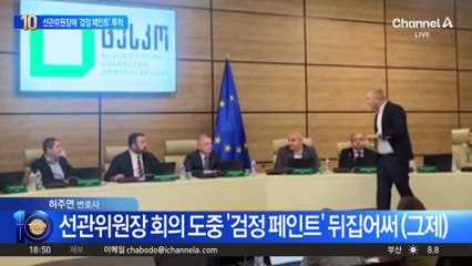 조지아 선거 잡음…선관위원장에 날아든 페인트