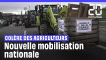 Colère des agriculteurs :  Nouvelle mobilisation nationale contre le Mercosur