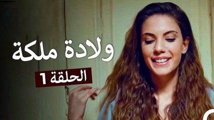 ولادة ملكة الحلقة ال1 - التفاح الحرام