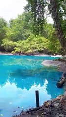 “Viví 50 años aquí y nunca vi esto”: Encuentra el lago de su comunidad de color “azul vibrante” y viralizan el momento 