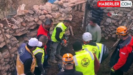 Siirt'te Ahırın Tavanı Çöktü, 3 Hayvan Telef Oldu