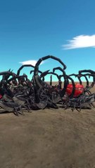 3D animals Animation fight Fun games TV