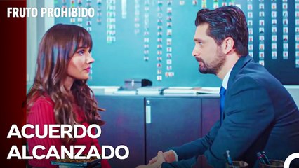 Acuerdo Positivo Entre Alihan Y Zeynep - Fruto Prohibido Capitulo 10