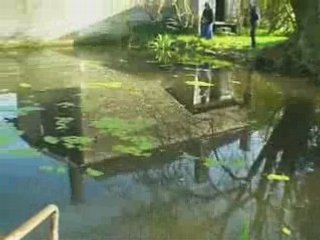 House of my rising sun.