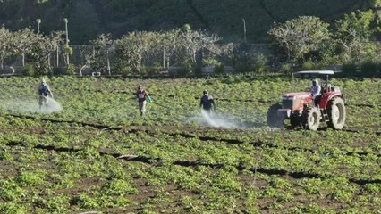 Estrategias climáticas panameñas brillan en la COP29