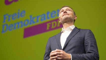 Freie Demokratische Partei (FDP): Infos