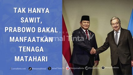Prabowo Ungkap Indonesia Ingin Jual Solar dengan Campuran Sawit 50% Tahun Depan