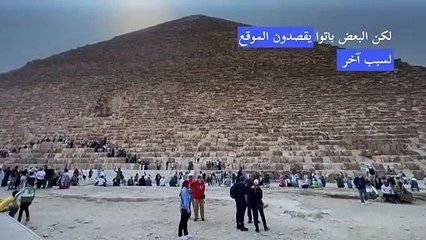 الكلاب الشاردة أمام أهرام الجيزة... عامل جذب سياحي جديد