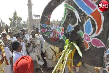 VIDEO : संतों की निश्रा में गूंजा जयकारा, पाली से नाकोड़ा तीर्थ के लिए पैदल संघ की गजराज ने की अगवानी