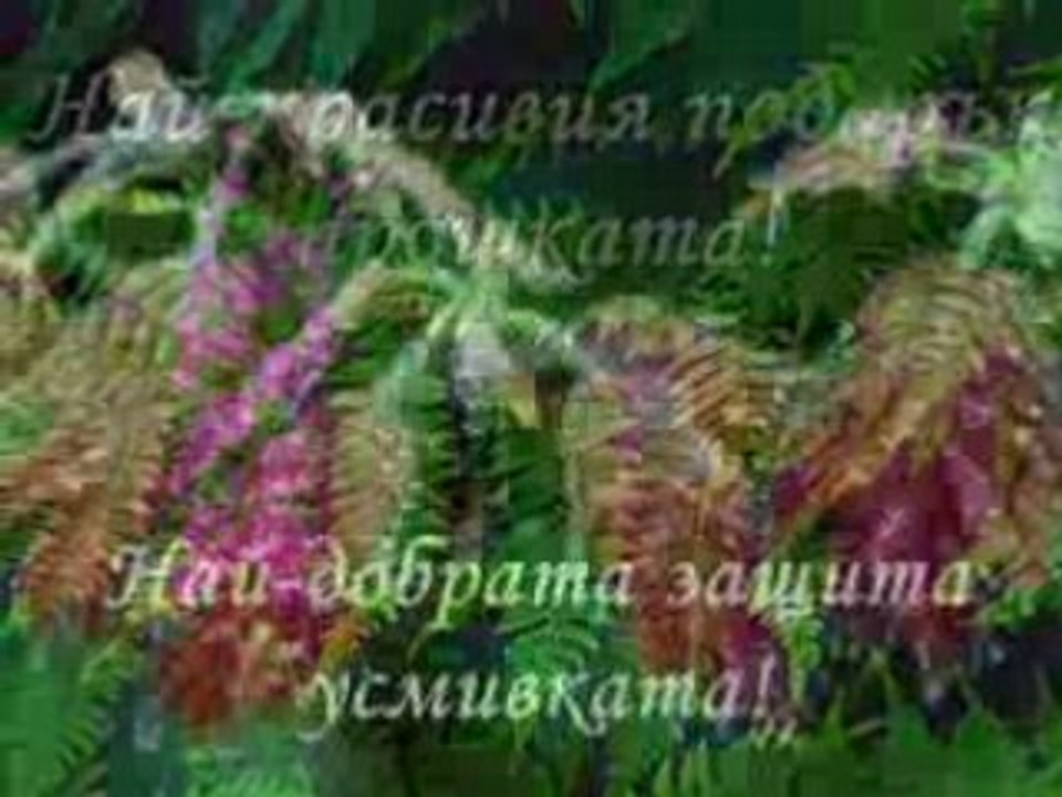 Най - Хубавият Ден - Vbox7