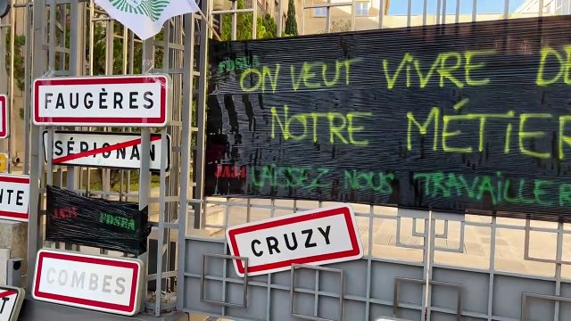 Agricultores franceses protestam contra acordo com Mercosul