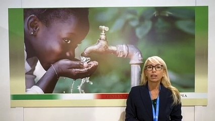 COP29, Paparella (RemTech Expo): approccio sistemico e sinergico